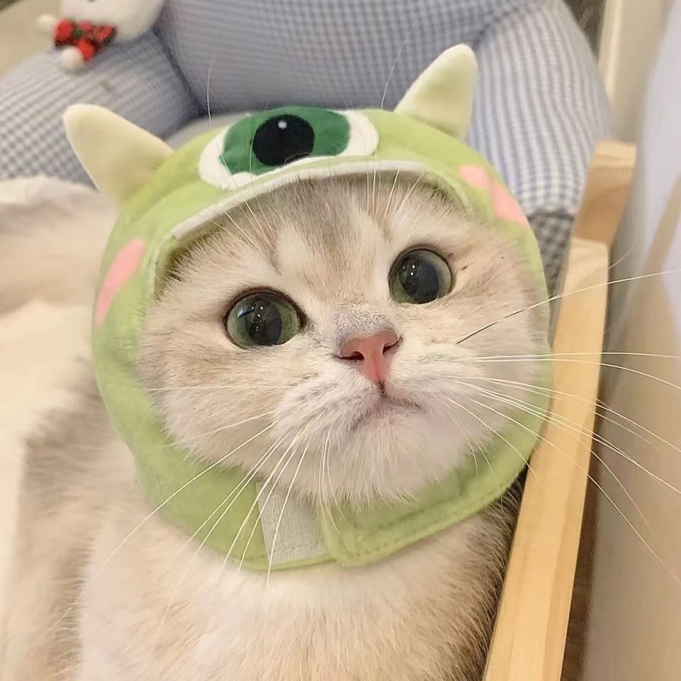 阿呆<span class="user-vip-flag"><span class="user-vip-flag-inner"><img class="user-vip-flag-icon j-lazy" src="https://www.shuaizai.com/wp-content/uploads/2025/05/2025052016160629.png" alt="超级会员" title="超级会员"></span></span>的头像